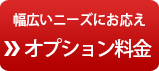 幅広いニーズにお応え  オプション料金