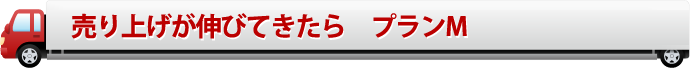 売り上げが伸びてきたら　プランM